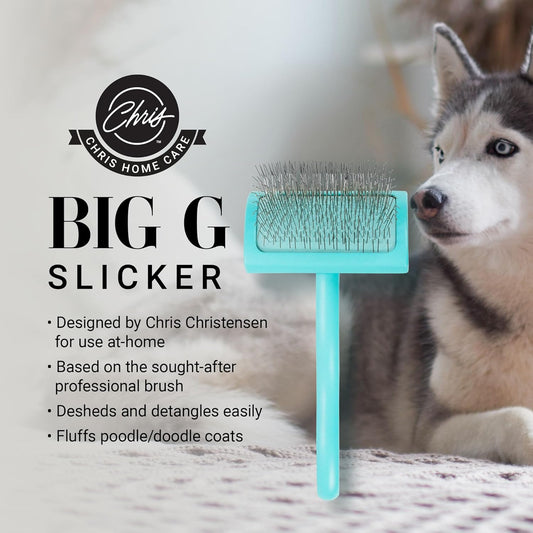 Chris Christensen Big G Dog Slicker Brush for Dogs (Goldendoodles, Labradoodles, Poodles), Groom Like a Professional, Fluff Detangle Style, Saves Time Energy, Teal, Medium