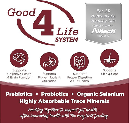 NutriSource Dog Food, Made with Beef and Brown Rice, with Wholesome Grains, 15LB, Dry Dog Food