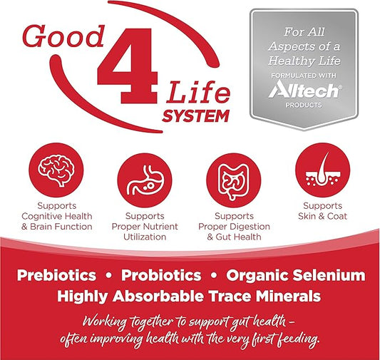 NutriSource Dry Dog Food for Large Breeds, Beef and Rice, 26LB