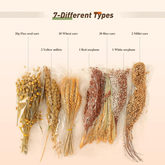 ZIPPYPET Hamster Sprays and Forage Accessories for Cages, Pet Mouse Decor Textures (7)