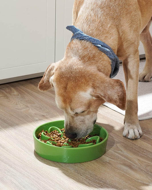 LE TAUCI Slow Feeder Dog Bowls Ceramic, 3 Cups Slow Feeding Dog Bowl Medium Large Breed, Pet Bowl for Fast Eaters, Puzzle Pet Dishes,Clover Green