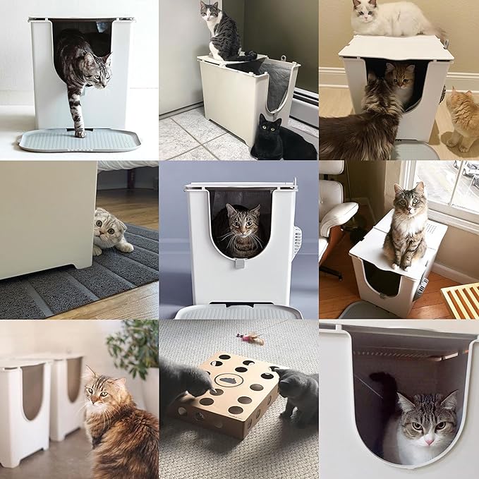 Modkat® Flip Litter Box, Front-Entry, Full Height Seamless Base, Reusable Litter Liner, Sifting Litter Scoop, 2X Bamboo Charcoal Filters