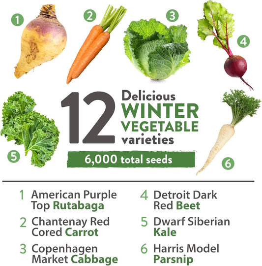 HOME GROWN 12 Winter Vegetable Seeds π‘π’π‘-ππ π’ Heirloom,Fall & Winter Vegetable Seeds for Planting Home Garden: Bean, Beet, Broccoli, Cabbage, Carrot, Cauliflower, Kale,Parsnip,Squash,Chard & More