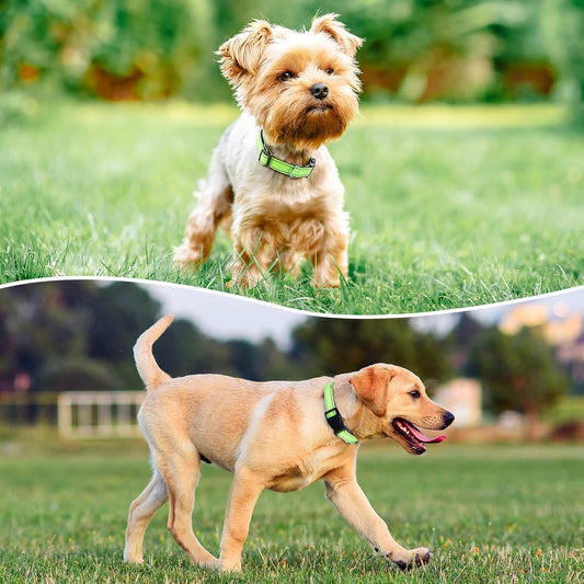 Reflective Dog Collar Padded with Soft Neoprene Breathable Quick Release Basic Dog Collars for Puppy Small Dogs Girl Green