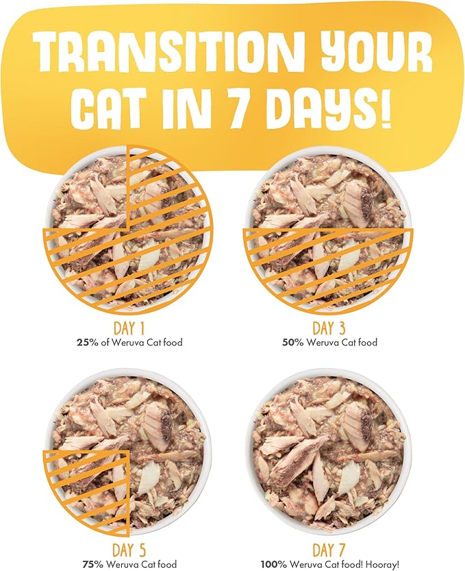 Weruva Classic Cat Food, Funky Chunky Chicken Soup with Pumpkin in Chicken Soup, 5.5oz Can (Pack of 24)