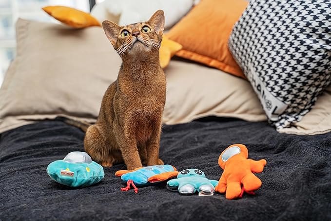 Interactive Catnip Cat Plush Toy, Space Travel Theme, 5‘’, for All Breed Size Cats (Alien)