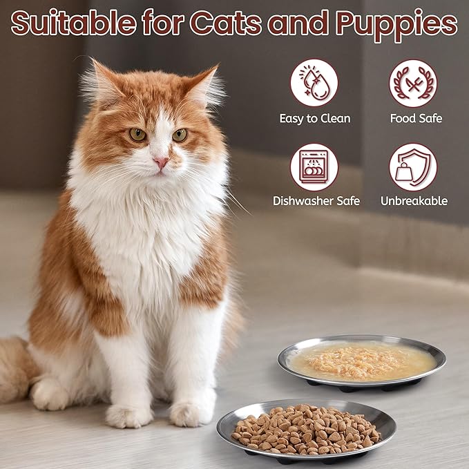 Cat Food Bowls, 6.7" Stainless Steel Whisker Fatigue Cat Plates with Non-Slip Silicone Base, Shallow Kitten Dishes for Wet & Dry Food
