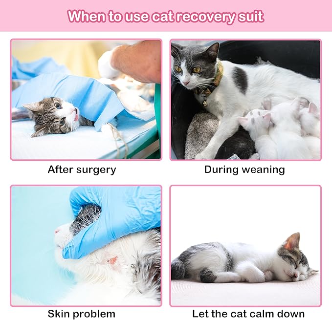 PUMYPOREITY Cat Recovery Suit, Cat Surgery Recovery Suit Female, Cat Spay Recovery Suit, Alternative to Cone of Shame, Cat Surgical Recovery Suit for Skin Diseases, Pink, L