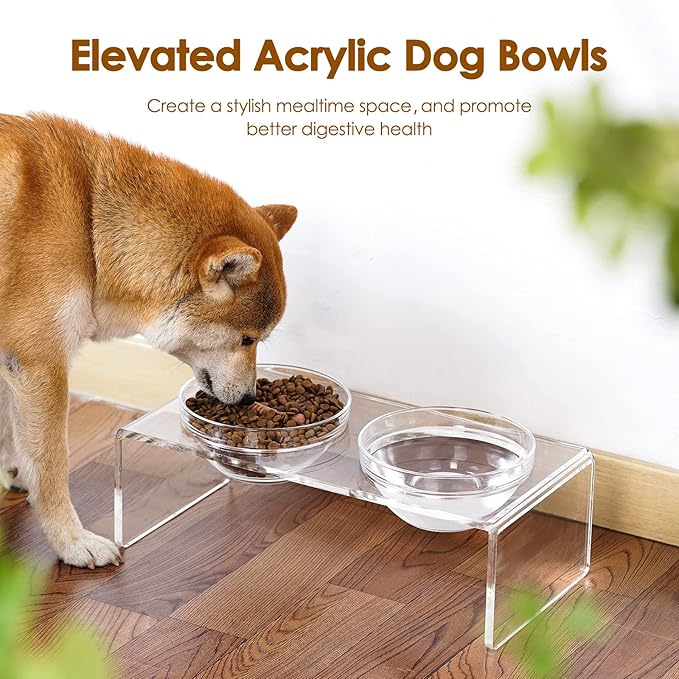 Acrylic Elevated Dog Cat Bowls Pet Feeder Double Bowl Raised Stand Comes with 2 Removable Glass Bowls and 2 Stainless Steel Bowls.Perfect for Medium Dogs, 5.5" Tall