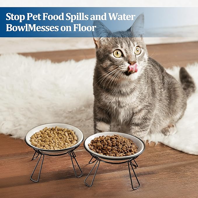 Cat Bowls, Elevated Bowl, Raised Ceramic Dish with Metal Stand, Pet Water or Food Feeding Station for Indoor Cats, Kitten, Puppies and Small Dogs(2 Pack)