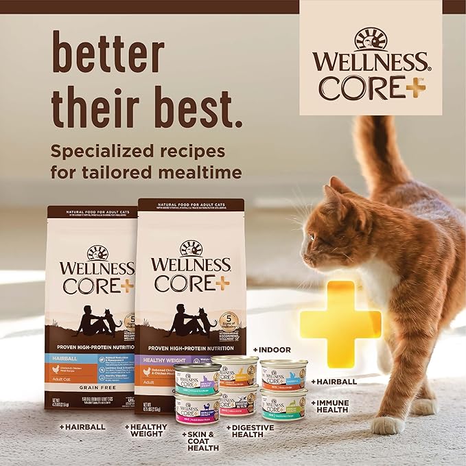 Wellness CORE+ Adult Dry Cat Food for Indoor and Outdoor Cats, Wholesome Grains, Natural, Digestive Health Salmon & Rice (5 Pound Bag)