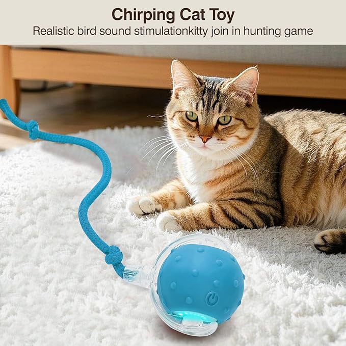 Electric Interactive Cat Toy Ball - Automatic Rolling Silicone Cat Toys for Indoor Cats, Durable Chew-Proof Motorized Kitty Ball with LED Light, Fun Exercise Toys for Bored Kittens(Blue)