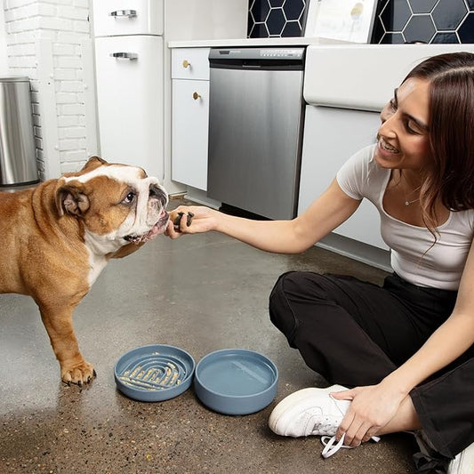 The Slowdown Bowl Silicone Slow Feeder for Dogs & Puppies, Slow Eating, Modern Lick Mat Design, Reduces Gulping, Fits 2 Cups 7.5” Across x 1.5” Tall, Mealtime Challenge, Medium-Honey