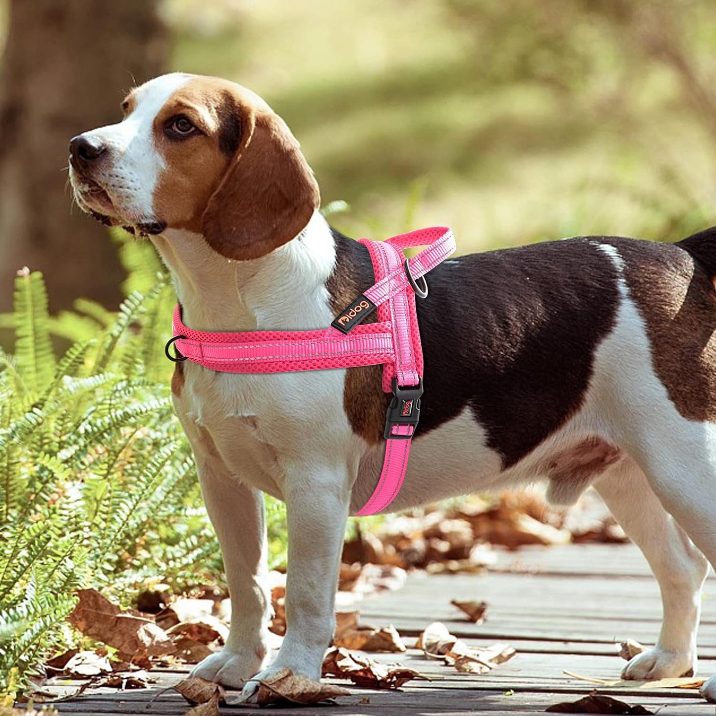 Didog No Pull Dog Harness with Soft Mesh Padded,Reflective & Quick Fit Light Weight Dog Strap Vest Harness,Easy for Walking Training (M:Chest 21-26", Pink)