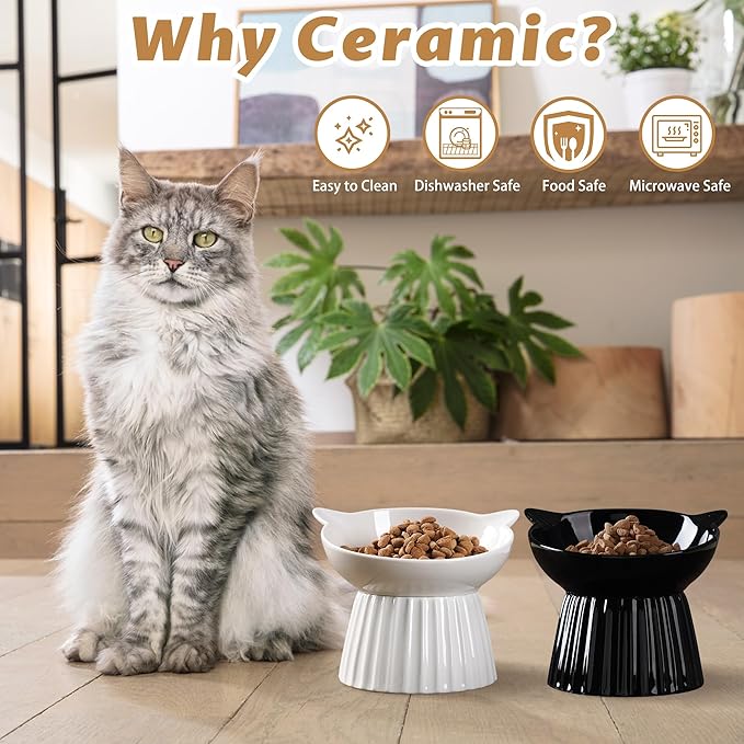 Ceramic Raised Cat Bowl,Tilted Raised Bowl Anti Vomit Bowls for Indoor Cats Whisker Friendly Pet Feeder for Cats Puppies, Microwave and Dishwasher Safe