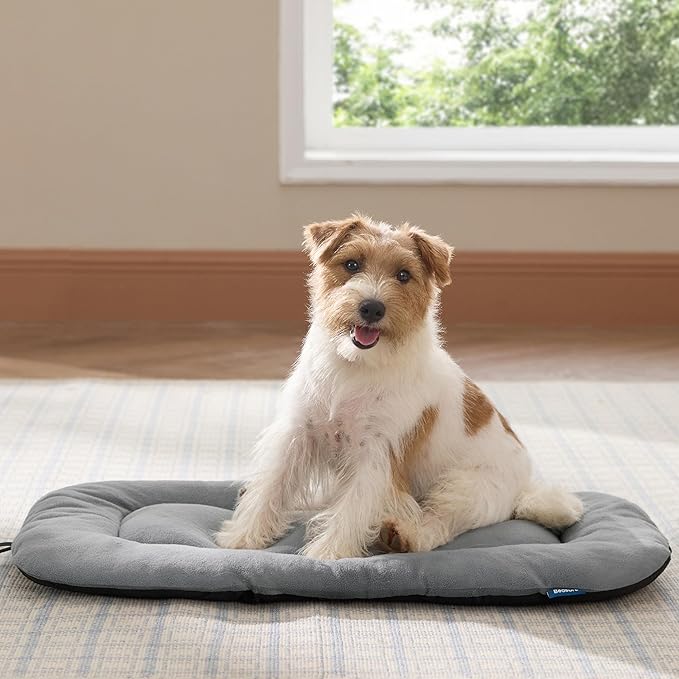 Bedsure Washable Dog Crate Pad for Medium Dogs, Anti-Slip Puppy Kennel Dog Bed for Crate - Ultra Soft Fleece Flat Thin Pet Mat (Not Chew Proof), Light Grey 29"x21"