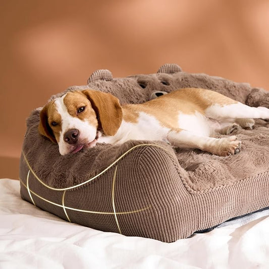 LE SURE Cute Dog Couch for Pets - Fluffy Original Bear Design Dog Beds for Medium Dogs, Pet Sofa with Washable Cover, Supportive Dogs Sofa Bed with Removable, 36inch, Brown