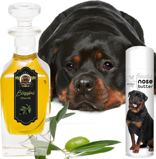 The Blissful Dog Rottweiler Nose Butter for Dry, Cracked Skin, Lick-Safe Dog Nose Balm with Moisturizing Shea Butter, Almond, Olive, and Essential Oils, Pet Supplies, Uncented, 0.50 oz.