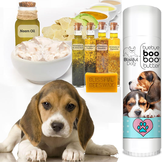 The Blissful Dog .50 oz Tube Beagle Booboo Butter