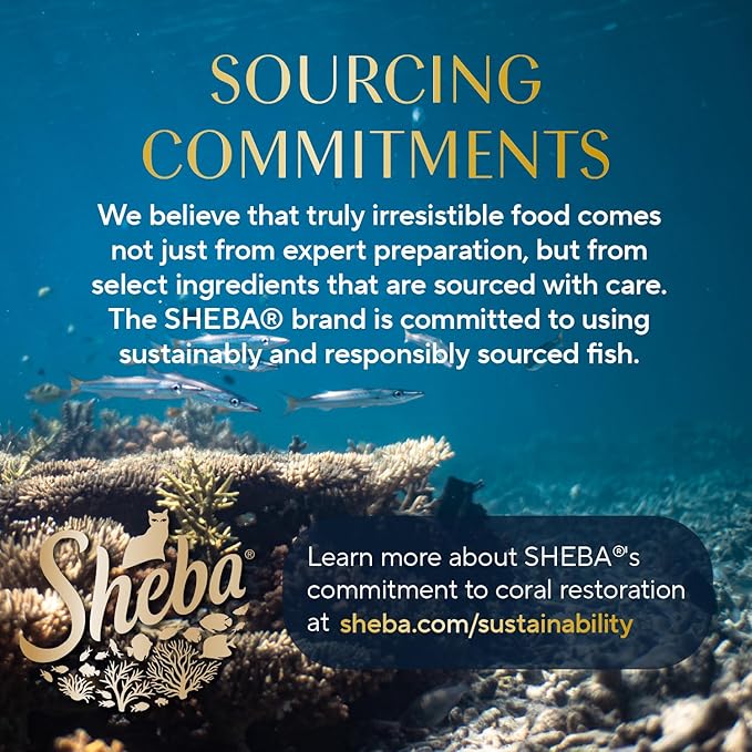 Sheba Perfect Portions Wet Cat Food Pate Savory Chicken Entree and with Sustainable Salmon Variety Pack, 2.6 oz. Twin-Pack Trays (6 Count, 12 Servings) (Pack of 2)