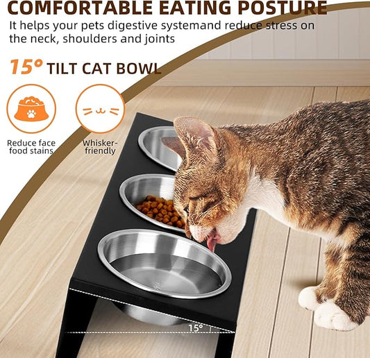 Elevated Cat Food Bowl,15°Tilted Stand Anti Vomiting Raised Cat Dishes for Food and Water,3 Stainless Steel Bowls,Non-Slip No Spill,Cats and Puppy