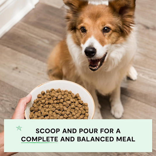 Open Farm, Grain-Free Dry Dog Food, Complete & Balanced Kibble, Sustainably & Ethically Sourced Ingredients, Non-GMO Veggies & Superfoods to Support Overall Health, Turkey and Chicken Recipe, 11lb Bag