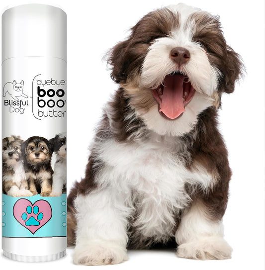 The Blissful Dog Havanese Boo Boo Butter, 0.50-Ounce