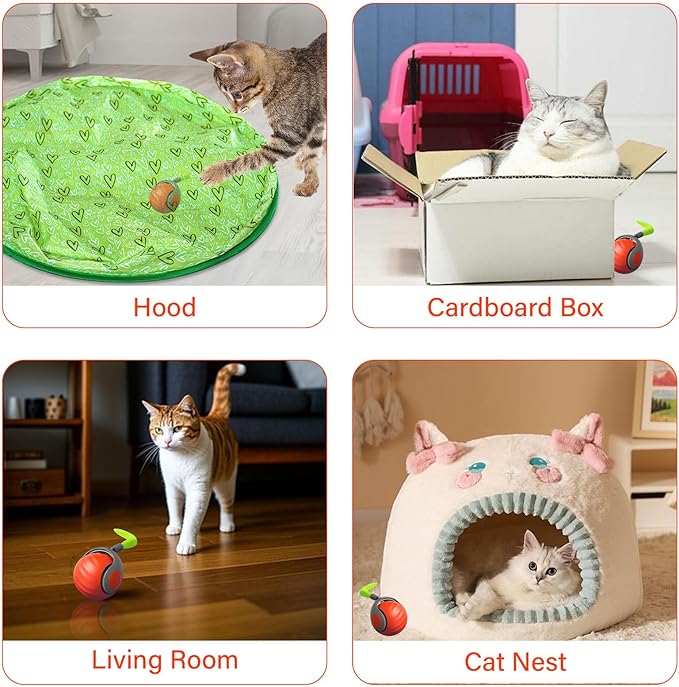 Interactive Cat Ball Toy with Feather, Smart Ball for Indoor Cats, Motion Activated Automatic Cat Toys, USB Rechargeable Toys, Orange