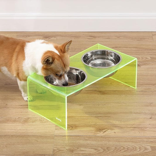 THE LICKER STORE DBL2001G Keaton 7.5" Medium/Large Modern Acrylic Rectangular Elevated Pet Feeder with 54oz 2-Stainless Steel Bowls, Green/Chrome