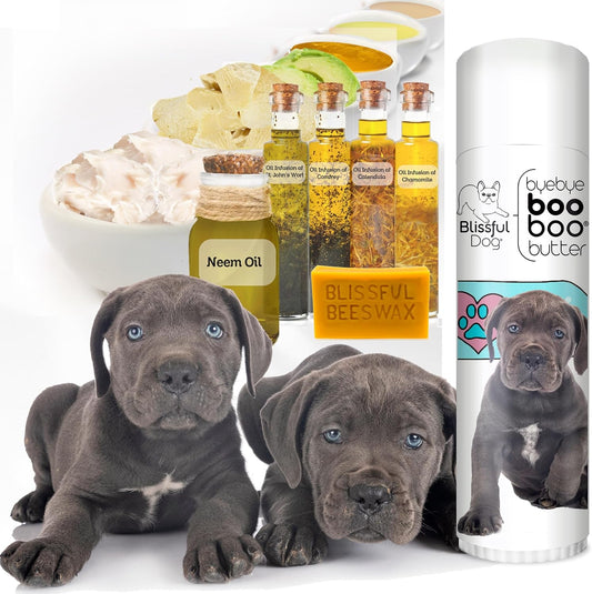 The Blissful Dog Cane Corso Boo Boo Butter, 0.50-Ounce