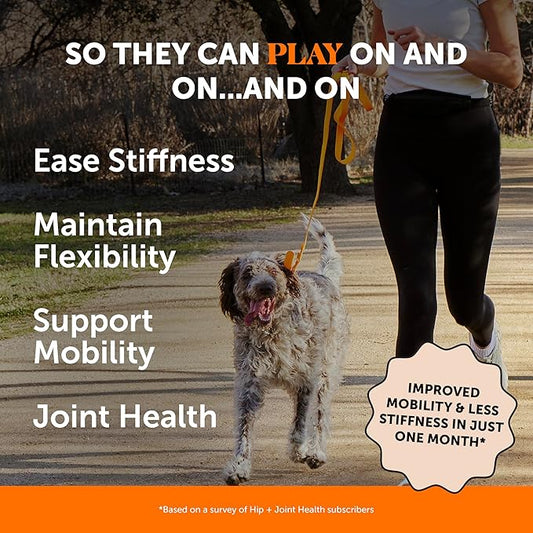 Hip & Joint Health - Glucosamine for Dogs Soft Chews, Joint Supplement for Dogs with Glucosamine Chondroitin, MSM, Turmeric, Anti Inflammatory, Support + Mobility (Chicken 90ct)