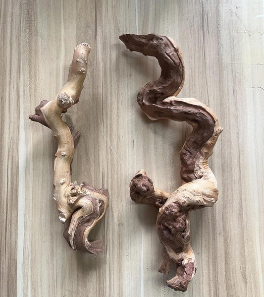 Small Natural Driftwood for Aquarium Styling Carefully Selected Natural Aquarium Decor Driftwood for Reptile Tank Reptile Tank Wood Decor (2pcs grapewood Branch 10-12inch)