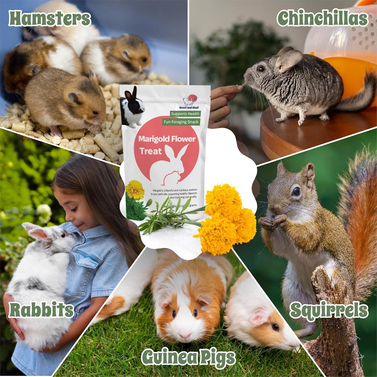 Snout and Shell Marigold Flower Treat for Small Pets – Organic, Healthy Digestive Support – Fun Foraging Snack for Rabbits, Guinea Pigs, Chinchillas, and More – 0.5 oz / 14g