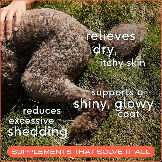 Native Pet Omega 3 Fish Oil for Dogs & Cats - Promotes Healthy Skin, Shiny Coat, & Strong Joints - Made with Wild Alaskan Salmon Oil for Dogs – Tasty, Fast-Absorbing Omega 3 6 9 Liquid Supplement- 8oz