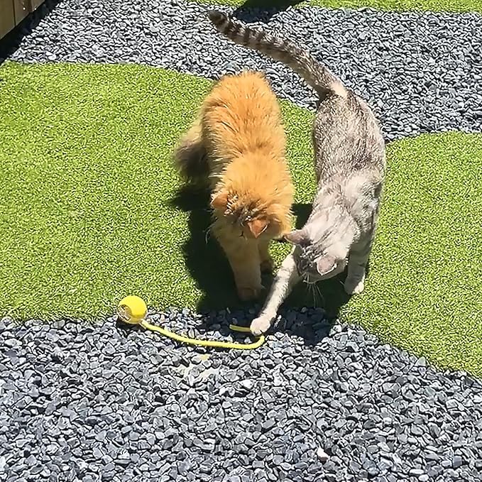 Automatic Cat Toy - Interactive Self-Moving Ball with Feather & Speedy Tail 3.0 Design, Electric Chase Toy for Cats, USB Rechargeable, Smart Obstacle Avoidance (Yellow, Feather)