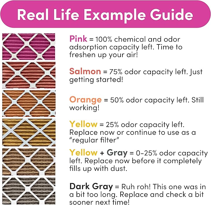 24x30x1 Air Filter by Colorfil | Color Changing Filters for Cat and Dog Odor | MERV 8 Furnace AC Filter for Pet Hair and Dust | 23.9"x29.9"x0.75" Exact Size | Pack of 2