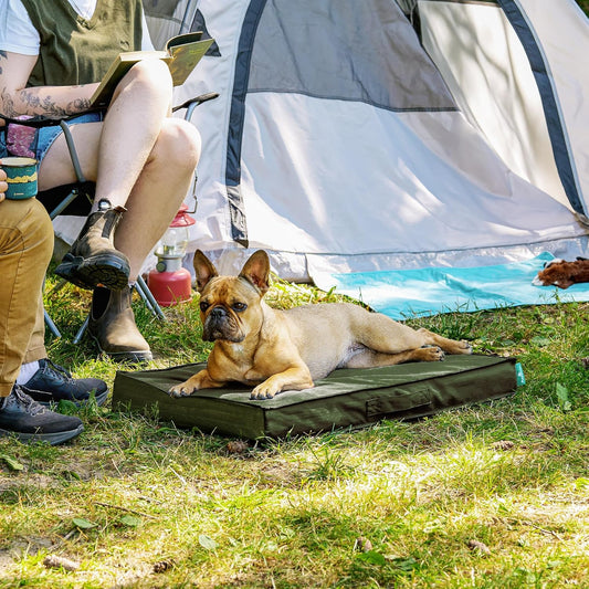 FurHaven Cooling Dog Bed – Medium Foam Mattress for Joint Pain Relief, Waterproof Liner, Removable Washable Cover, Durable for Outdoor Use, Deluxe Grid Indoor/Outdoor Bed – Green, Medium