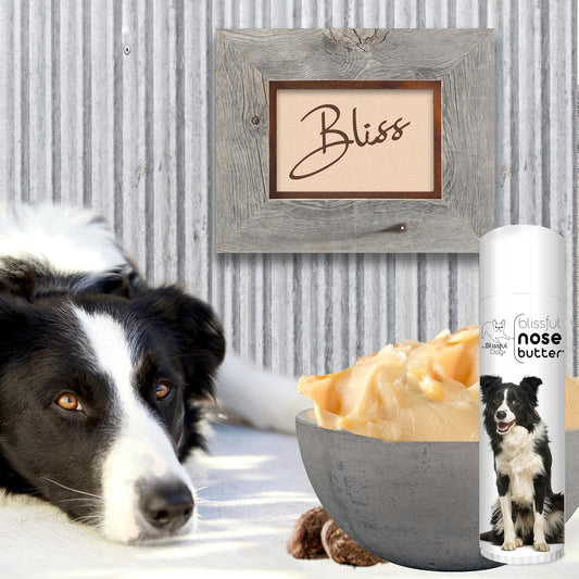 The Blissful Dog Border Collie Nose Butter for Dry, Cracked Skin, Lick-Safe Dog Nose Balm with Moisturizing Shea Butter, Almond, Olive, and Essential Oils, Pet Supplies, Uncented, 0.50 oz.