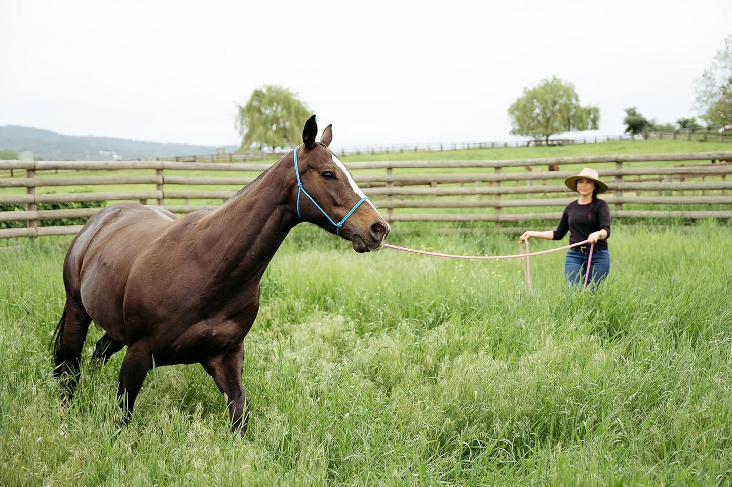22' Long Line with SS O Ring and Carabiner (Black with Beige)