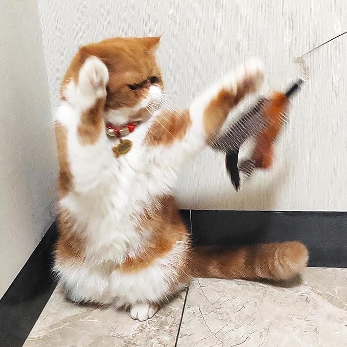 Handmade Natural Feather Cat Toy Dah Bird Refills - Interactive Cat and Kitten Toy - 6 Pack