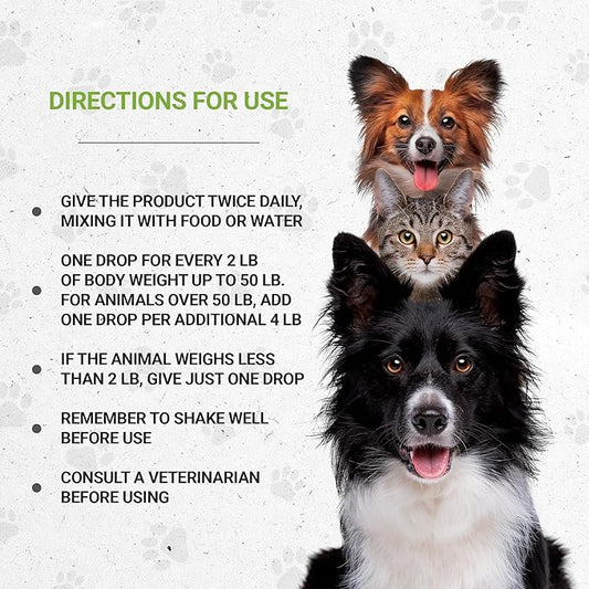 Lion's Respiratory | Natural Herbal Dietary Supplement for Cats | Healthy Respiratory System Support in Cats | Alcohol-Free Extract, Linden, Elder Flowers, Chamomile, Peppermint, Fennel 2 oz