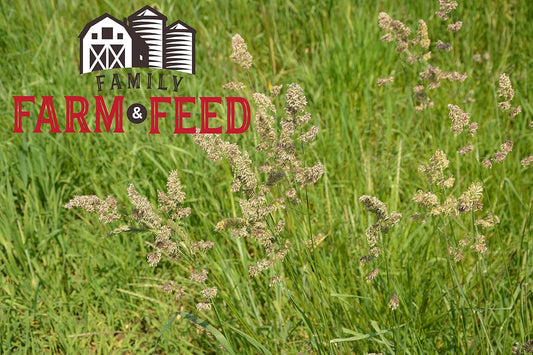 | Timothy Grass Food | Small Pet | Young and Adult | Pellets | 3 Pounds