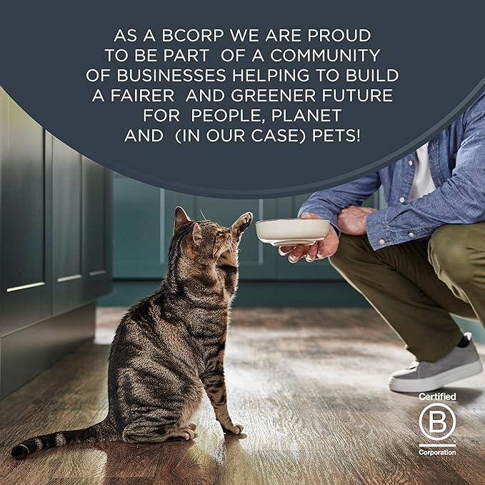 Reveal Natural Wet Cat Food, 12 Count, Grain Free, Limited Ingredient Canned Food for Cats, Tuna Fillet in Broth, 5.5 oz Cans