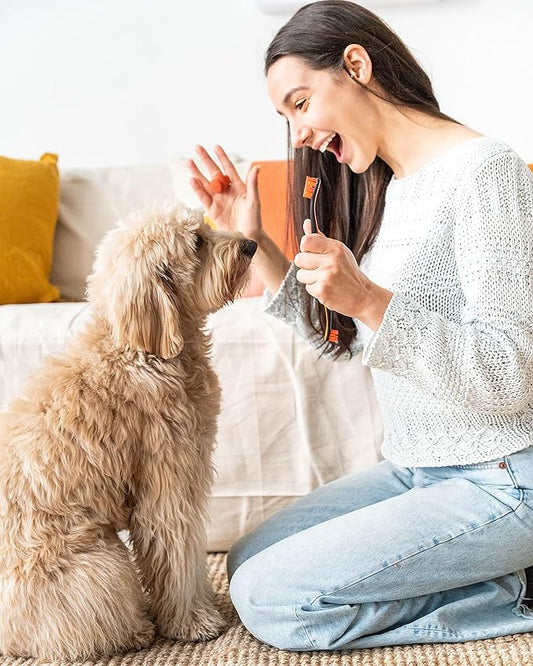 Pet Toothbrushing Assistant for Puppies' Dogs and Cats Allows You to Brush Your pet’s Teeth Without Constantly Worrying About Getting Bitten. (Orange, Medium)