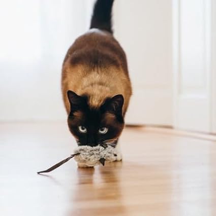 P.L.A.Y. Cute Plush Cat Toys - Feline Frenzy Animal Critter Themed Catnip Filled Toy, Great for Adult Cats and Kittens - Machine Washable, Recycled Materials, Crinkles (Catch a Meowse, Set of 2)