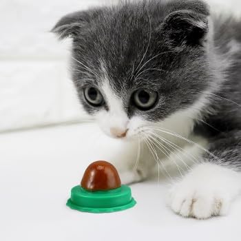 BESPORTBLE 10Pcs Catnip Balls Cat Catnip Ball Natural Licking Edible Wall Stick on Cat Licker Toy Pet Lollipop