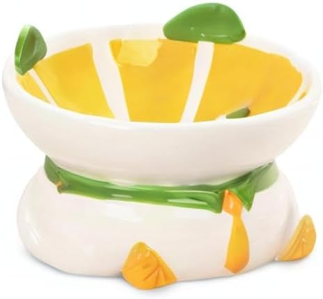 Kathson Ceramic Elevated Cat Bowl, 15 Tilted with Stand - Lemon Shaped, Anti Vomiting, Small Cat Bowl