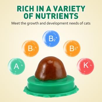 BESPORTBLE 10Pcs Catnip Balls Cat Catnip Ball Natural Licking Edible Wall Stick on Cat Licker Toy Pet Lollipop