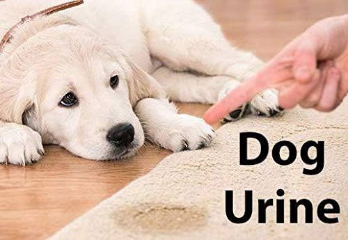 Blue Marble Stain & Odor Remover is Professional Strength, Eliminates Urine, Feces and Other Organic Stains & Stink Using Natural Enzyme Power. Great For Dogs, Cats, Pets, People and Other Accidents.