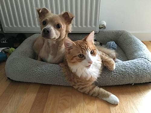 Enjoying Cat Mat Bed 16" x 22" Pet Bed with Pillow Around for Dogs Cats Curled Sleeping Beds for Carrier/Crate Small to Medium Dog Cushion, Anti Skid Bottom, Medium